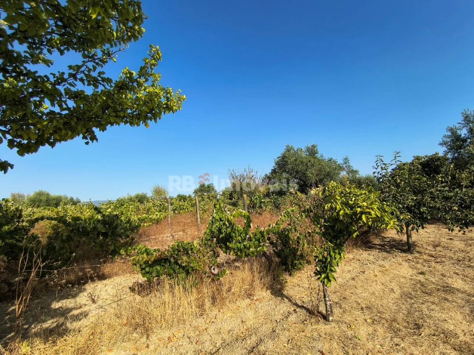 Terreno para Venda em Paialvo Foto 14