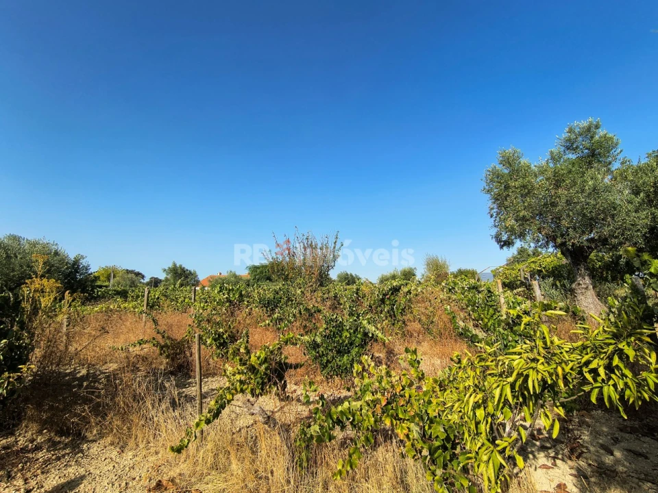 Terreno para Venda em Paialvo Foto 15