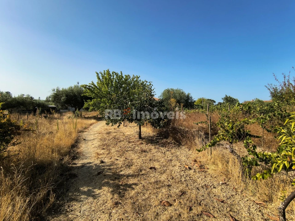 Terreno para Venda em Paialvo Foto 16
