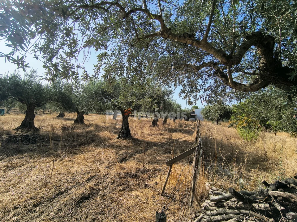 Terreno para Venda em Paialvo Foto 19