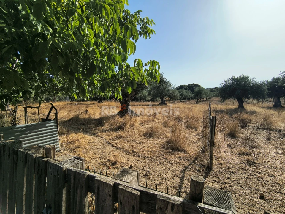 Terreno para Venda em Paialvo Foto 20