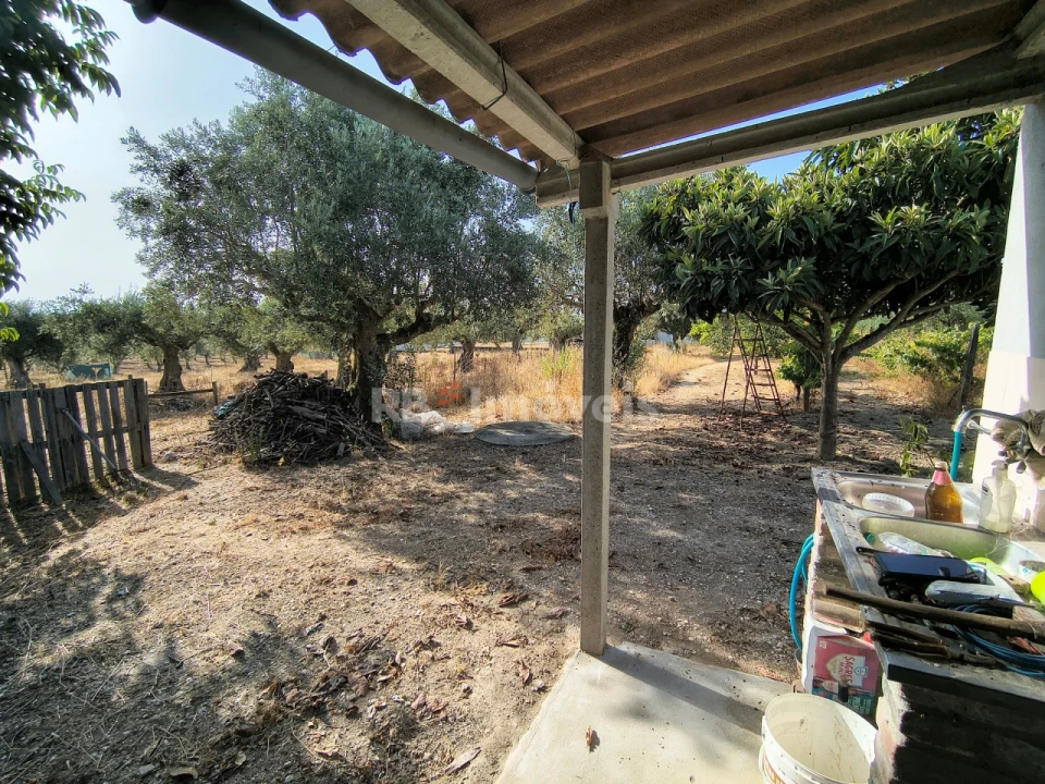 Terreno para Venda em Paialvo Foto 30