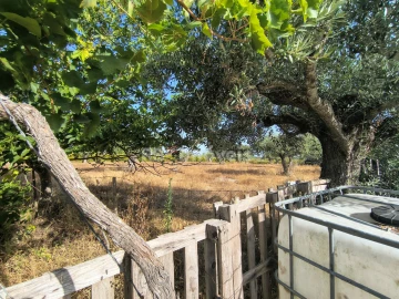 Terreno para Venda em Paialvo