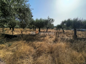 Terreno para Venda em Paialvo