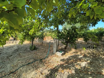 Terreno para Venda em Paialvo