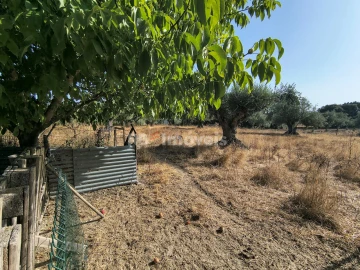 Terreno para Venda em Paialvo