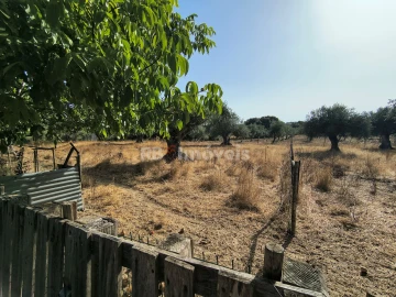 Terreno para Venda em Paialvo