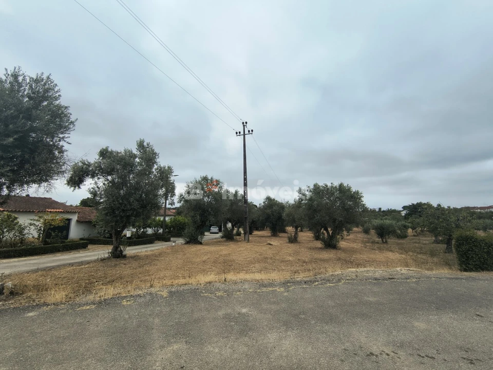 Terreno para Venda em Paialvo Foto 5