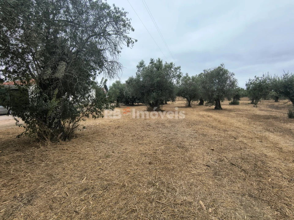 Terreno para Venda em Paialvo Foto 1