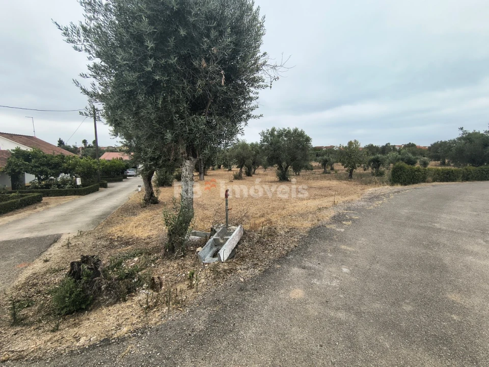 Terreno para Venda em Paialvo Foto 2