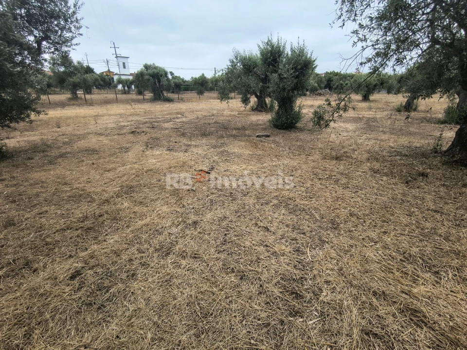 Terreno para Venda em Paialvo Foto 7