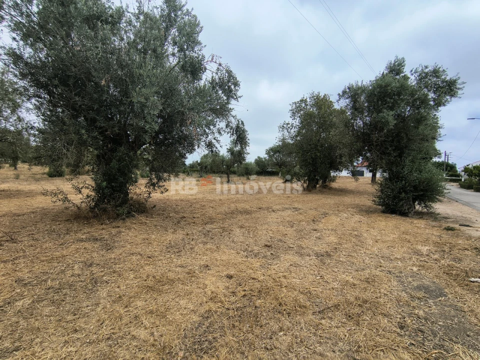 Terreno para Venda em Paialvo Foto 12