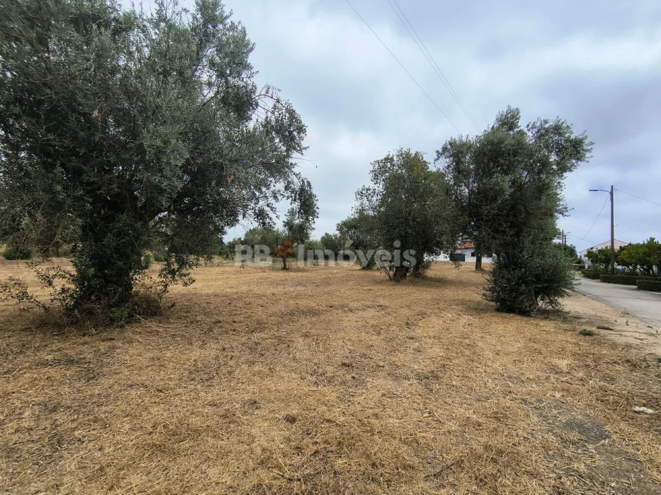 Terreno para Venda em Paialvo Foto 16