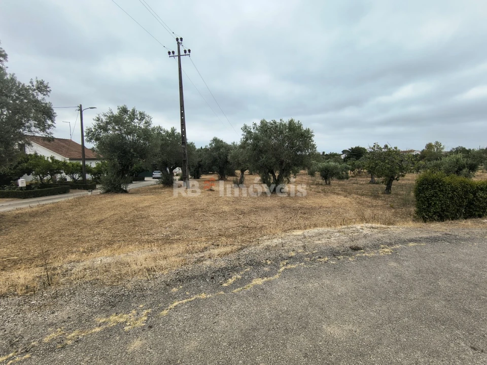 Terreno para Venda em Paialvo Foto 18