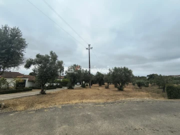 Terreno para Venda em Paialvo
