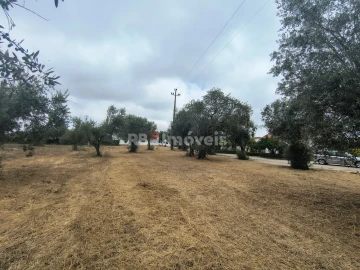 Terreno para Venda em Paialvo