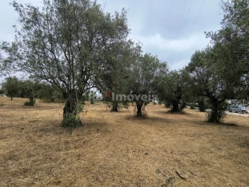 Terreno para Venda em Paialvo