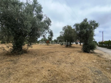 Terreno para Venda em Paialvo