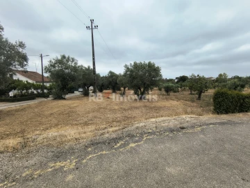 Terreno para Venda em Paialvo