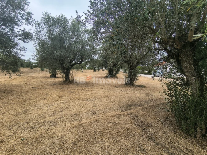 Terreno para Venda em Paialvo Foto 8