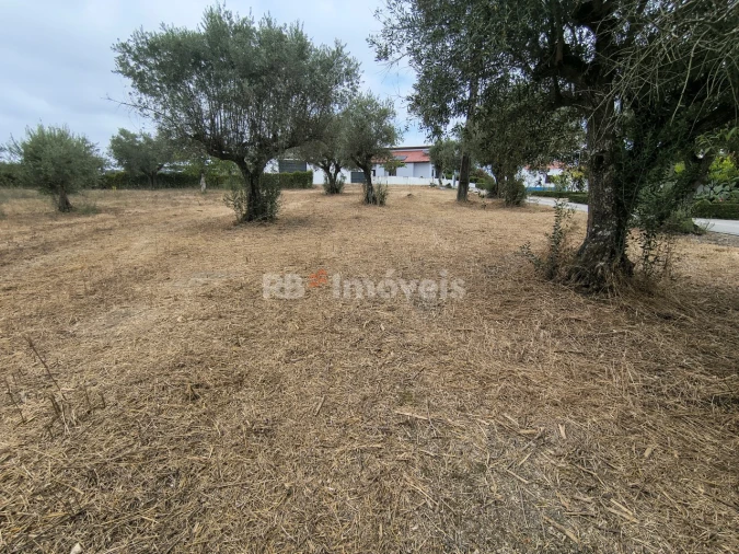 Terreno para Venda em Paialvo Foto 17