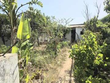 Moradia T4 para Venda em Almancil