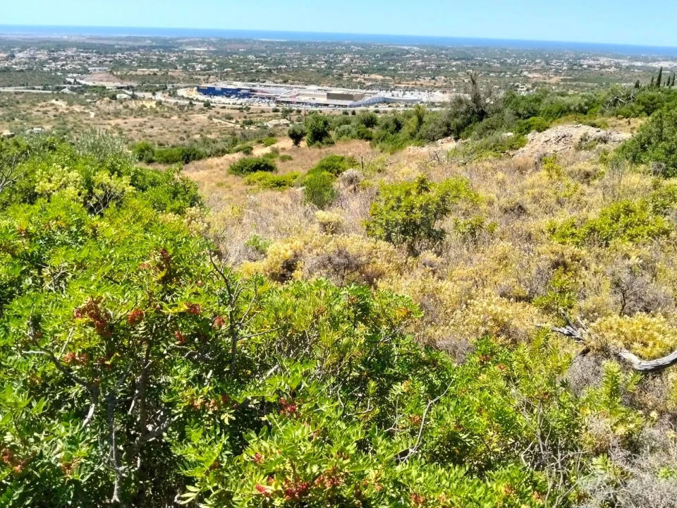 Terreno para Venda em Santa Barbara de Nexe Foto 1