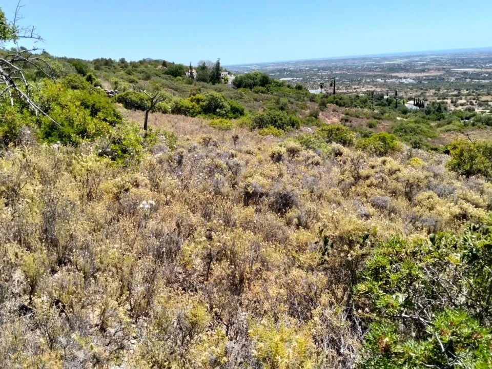Terreno para Venda em Santa Barbara de Nexe Foto 7