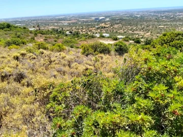Terreno para Venda em Santa Barbara de Nexe