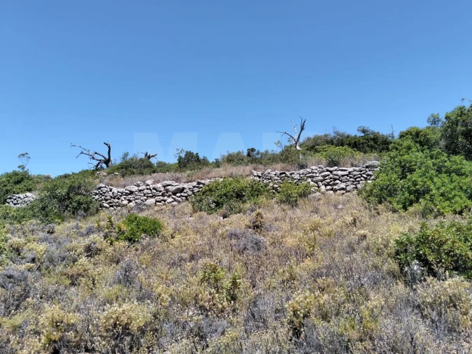 Terreno para Venda em Santa Barbara de Nexe Foto 8