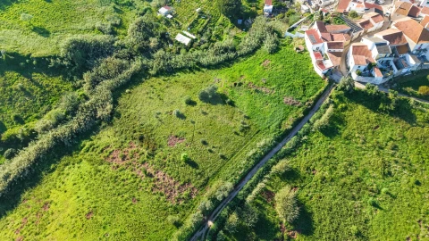 Terreno para Venda em Dois Portos e Runa