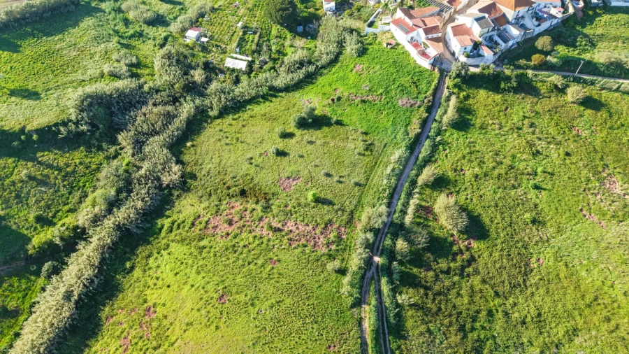 Terreno para Venda em Dois Portos e Runa Foto 6