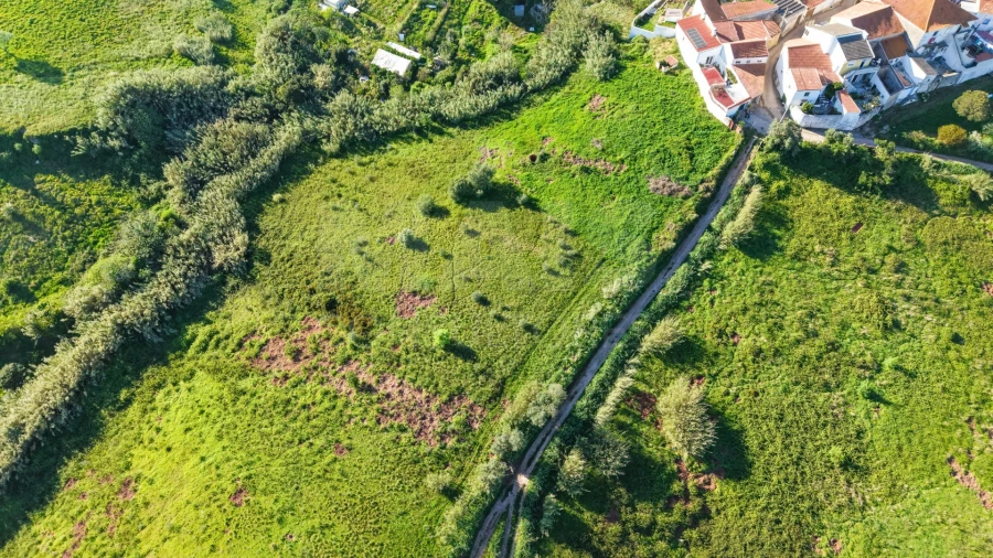 Terreno para Venda em Dois Portos e Runa Foto 5