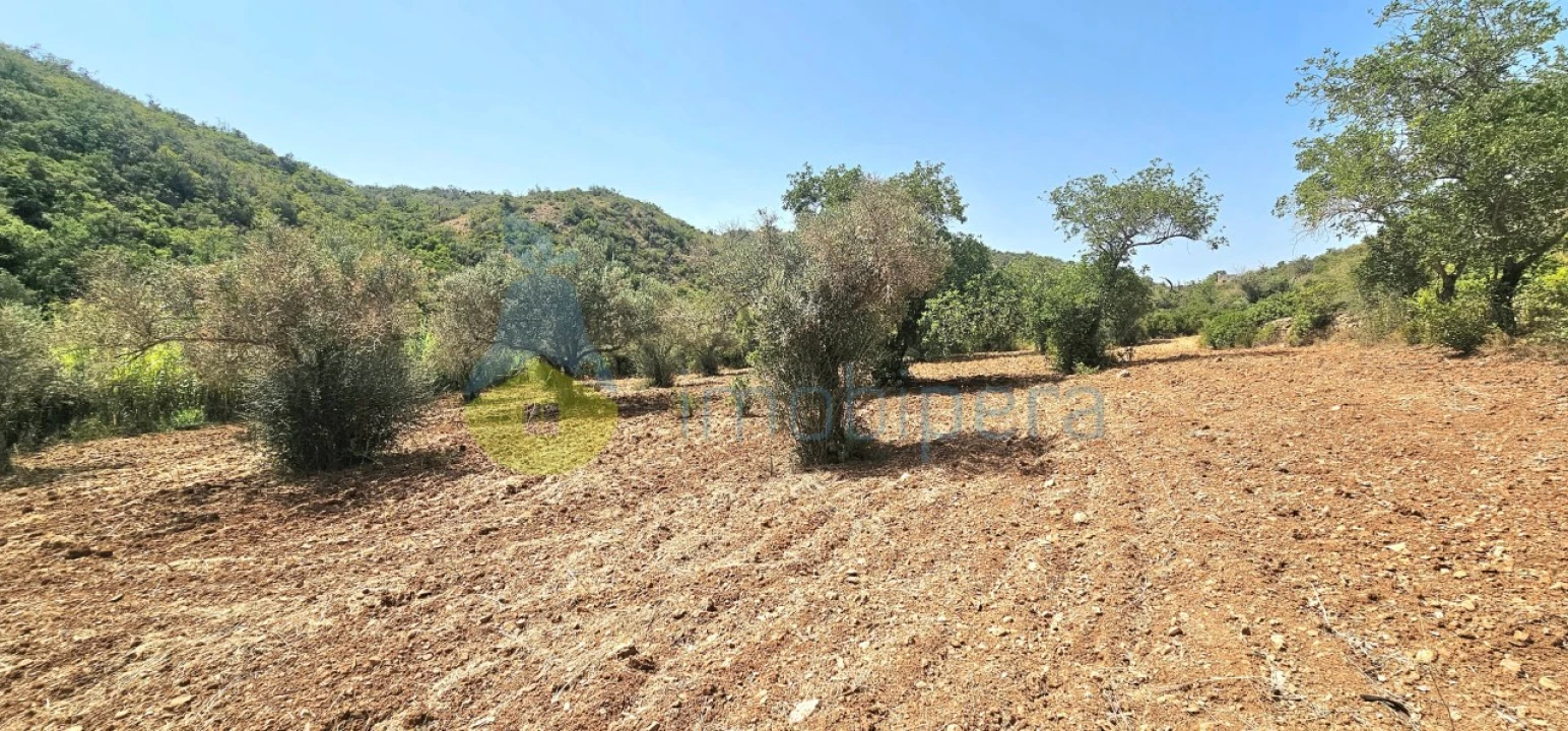Terreno Agricola ou Rústico para Venda em Paderne Foto 2