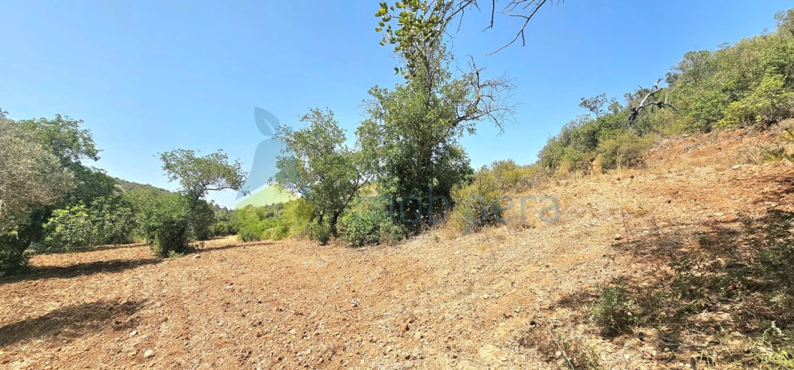 Terreno Agricola ou Rústico para Venda em Paderne Foto 3