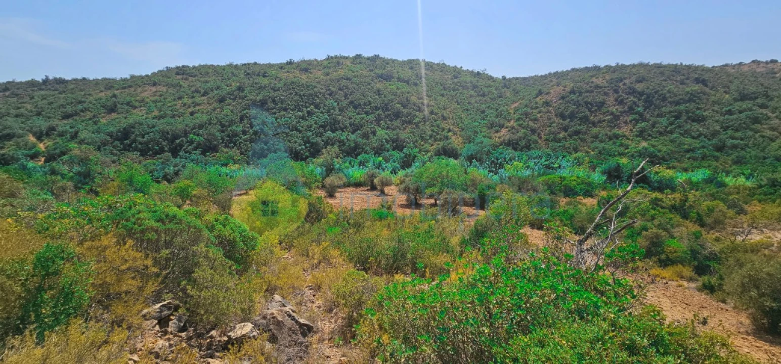 Terreno Agricola ou Rústico para Venda em Paderne Foto 4