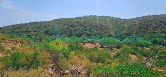 Terreno Agricola ou Rústico para Venda em Paderne