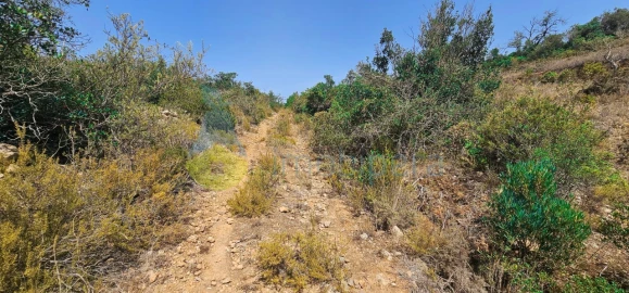 Terreno Agricola ou Rústico para Venda em Paderne