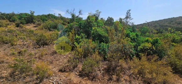 Terreno Agricola ou Rústico para Venda em Paderne