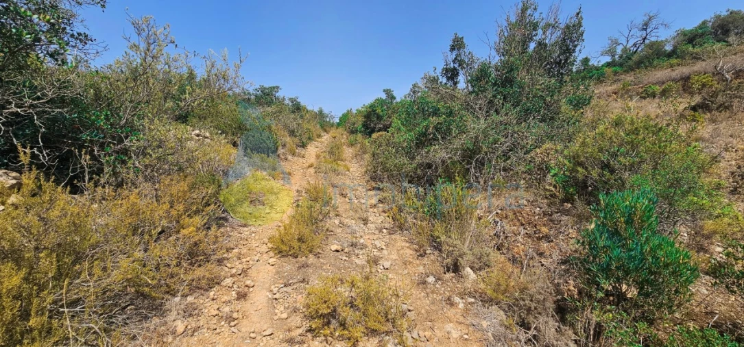 Terreno Agricola ou Rústico para Venda em Paderne Foto 5