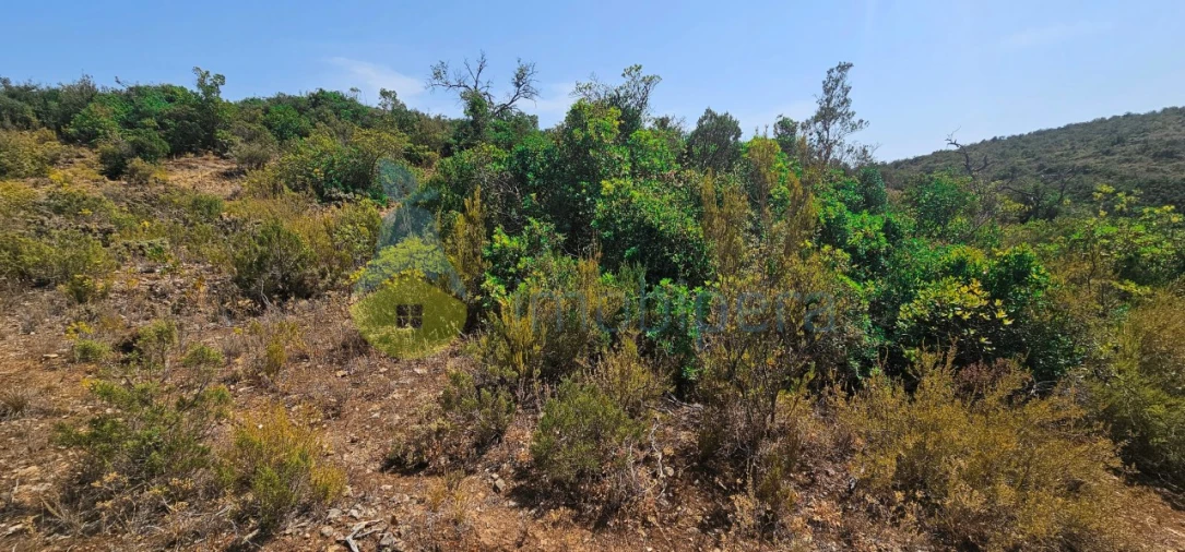 Terreno Agricola ou Rústico para Venda em Paderne Foto 6