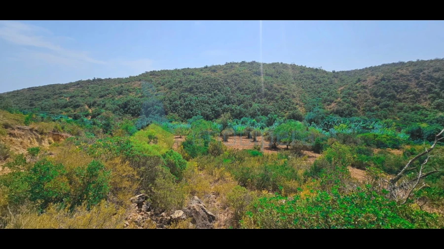 Terreno Agricola ou Rústico para Venda em Paderne