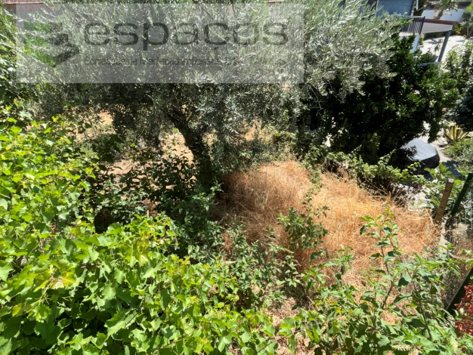 Moradia T3 para Venda em São Vicente da Beira Foto 34