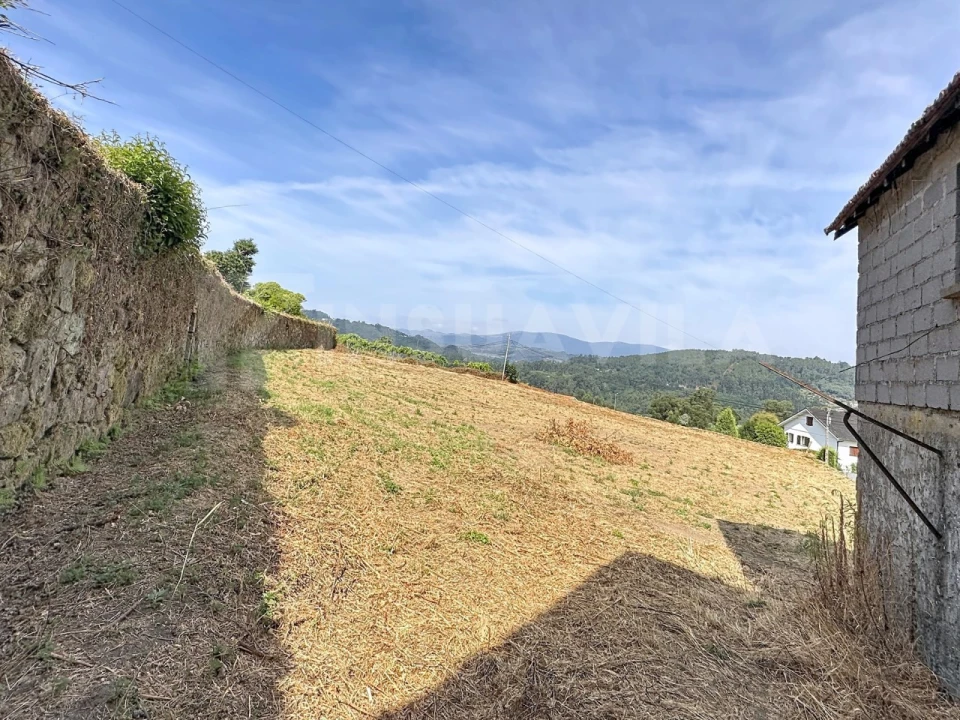 Terreno para Venda em Chaviães e Paços Foto 10