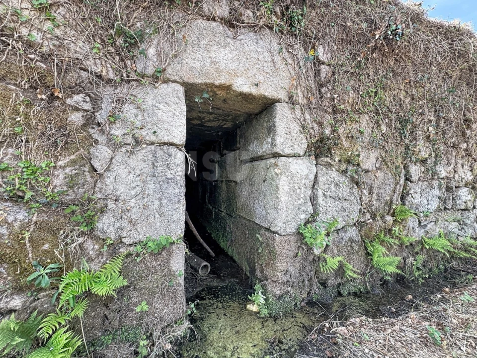 Terreno para Venda em Chaviães e Paços Foto 11