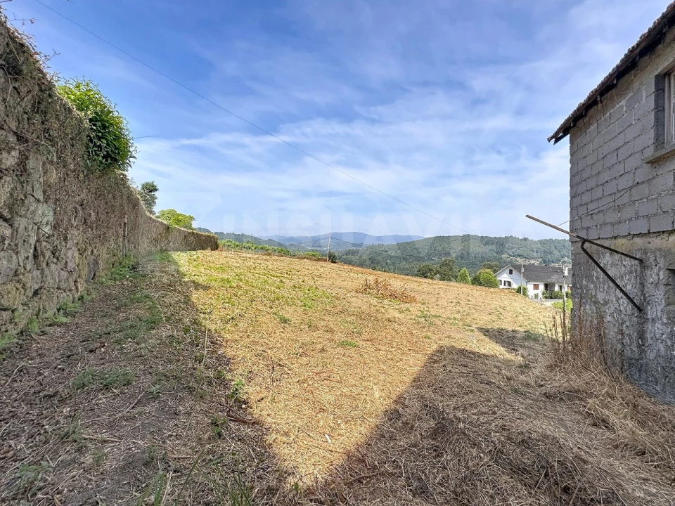 Terreno para Venda em Chaviães e Paços Foto 12