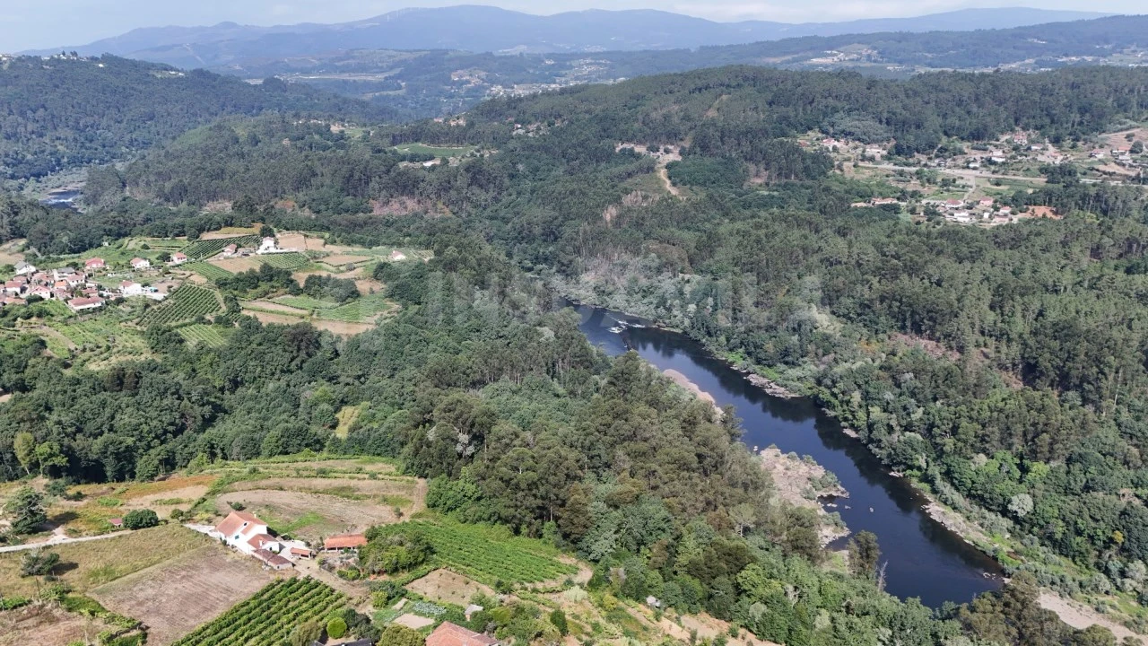 Terreno para Venda em Chaviães e Paços Foto 7