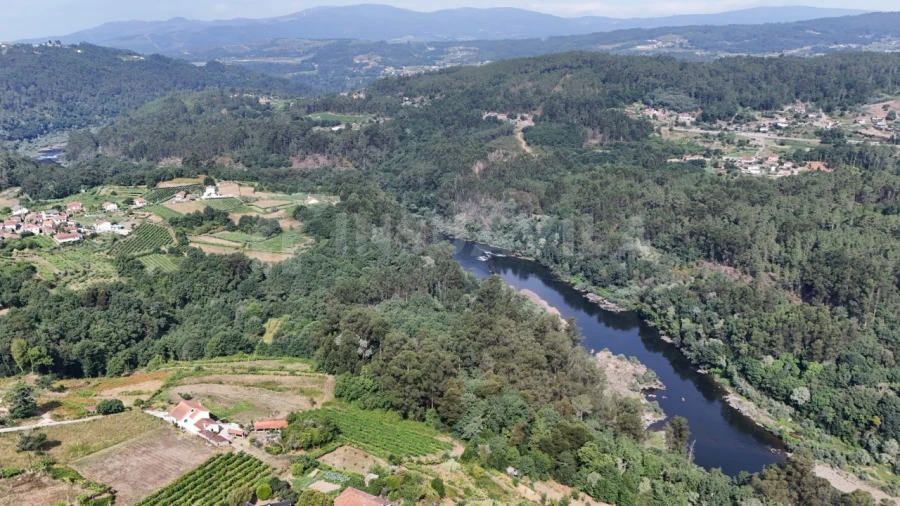 Terreno para Venda em Chaviães e Paços Foto 7