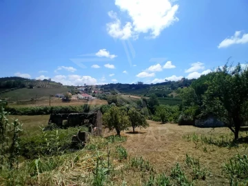 Terreno para Venda em Vidais
