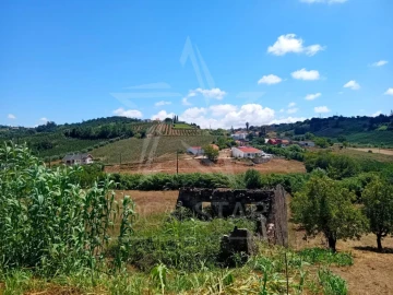 Terreno para Venda em Vidais